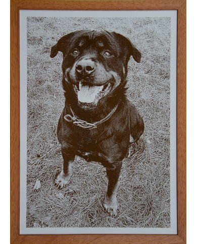 Obraz z Vaší fotografie - Rám buk