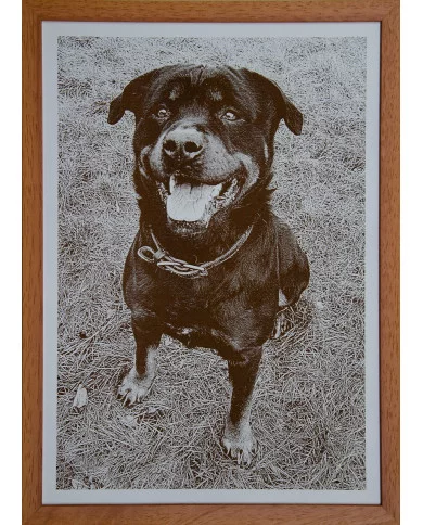 Obraz z Vaší fotografie - Rám buk